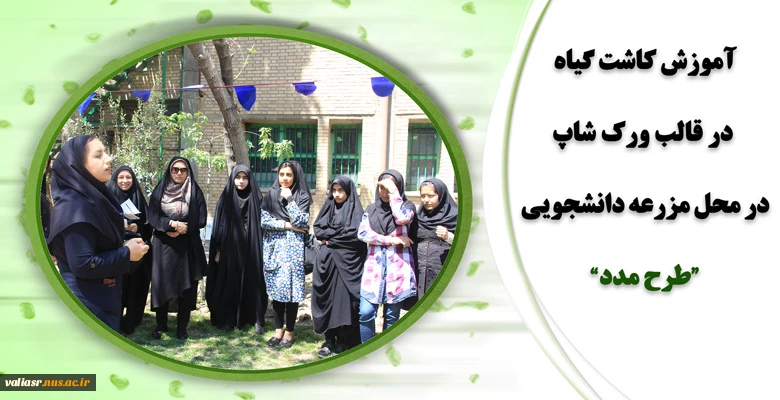 آموزش کاشت گیاه در قالب ورک شاپ در محل مزرعه دانشجویی ( طرح مدد) 2
