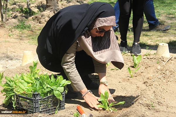 آموزش کاشت گیاه در قالب ورک شاپ در محل مزرعه دانشجویی ( طرح مدد) 14