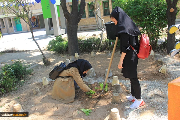 آموزش کاشت گیاه در قالب ورک شاپ در محل مزرعه دانشجویی ( طرح مدد) 16