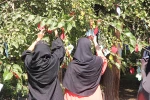 برنامه های روز اول هفته سلامت روان در دانشکده 8