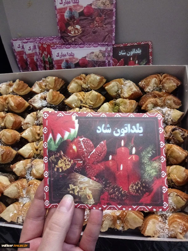 برگزاری جشن یلدا در خوابگاه نرگس 4