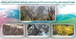 طبیعت زیبای دانشکده ولی عصر(عج) 2