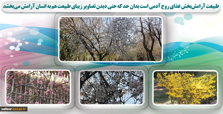 طبیعت زیبای دانشکده ولی عصر(عج) 2