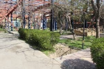 طبیعت زیبای دانشکده ولی عصر(عج) 8