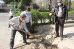 برگزاری آیین درخت کاری در دانشکده ولی عصر(عج) 13