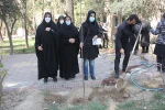 برگزاری آیین درخت کاری در دانشکده ولی عصر(عج) 15