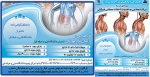 دوره آموزش آزاد 