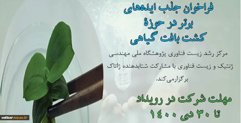 فراخوان جذب ایده در کشت بافت گیاهی 2