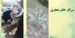 اعلام برنده مسابقه پویش درختکاری 7