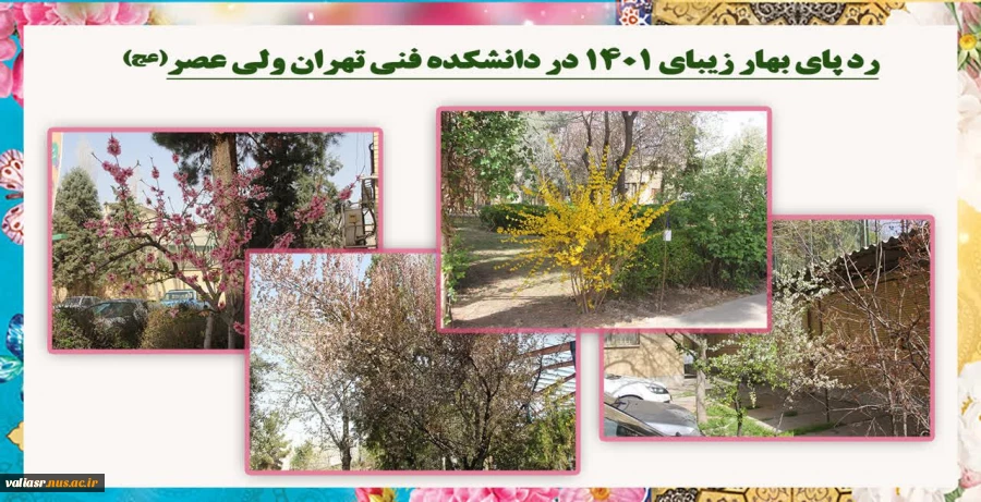 صدای پای بهار می آید 2
