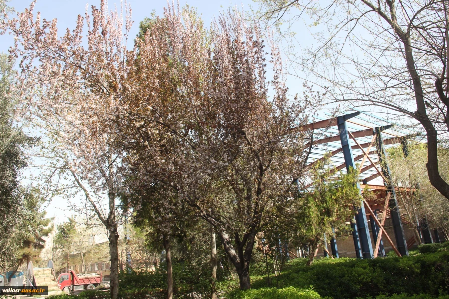 صدای پای بهار می آید 4