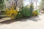 صدای پای بهار می آید 7