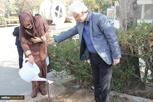 برگزاری آئین درختکاری در دانشکده فنی وحرفه ای دختران تهران ولی عصر(عج) 2