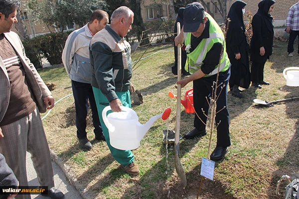 برگزاری آئین درختکاری در دانشکده فنی وحرفه ای دختران تهران ولی عصر(عج) 12