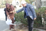 برگزاری آئین درختکاری در دانشکده فنی وحرفه ای دختران تهران ولی عصر(عج) 3