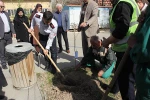 برگزاری آئین درختکاری در دانشکده فنی وحرفه ای دختران تهران ولی عصر(عج) 12