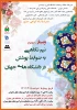 وبینار کشوری 