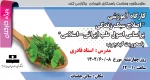 کارگاه آموزشی اصلاح سبک زندگی براساس اصول طب ایرانی-اسلامی(   ویژه کارکنان) 2