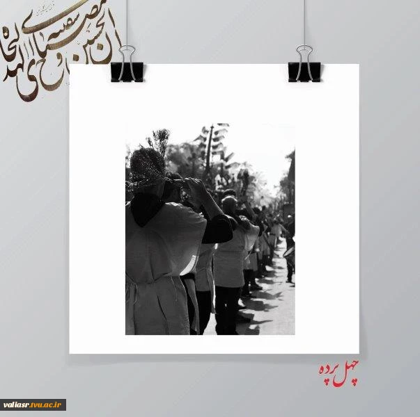 افسانه عزیز زاده4
