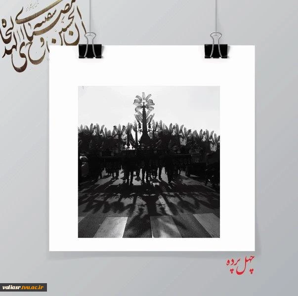 افسانه عزیز زاده9
