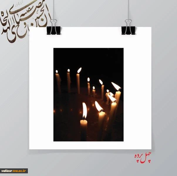 زهرا بهاری3