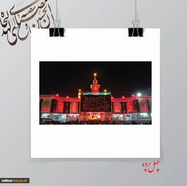 زینب فرهادی 2
