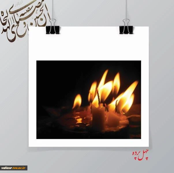 فاضله عباس آبادی4