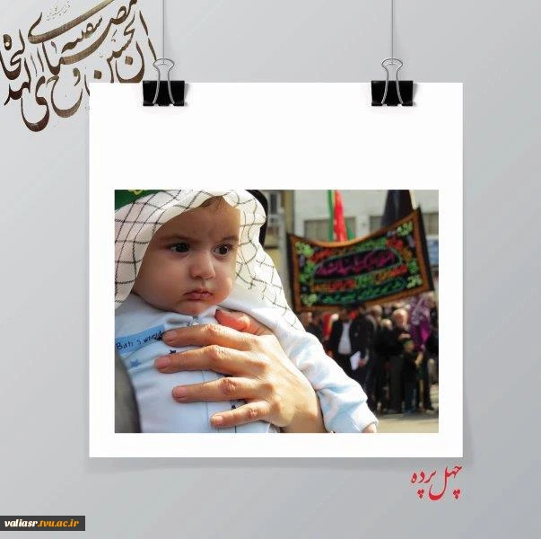 مریم میر رحمتی 6