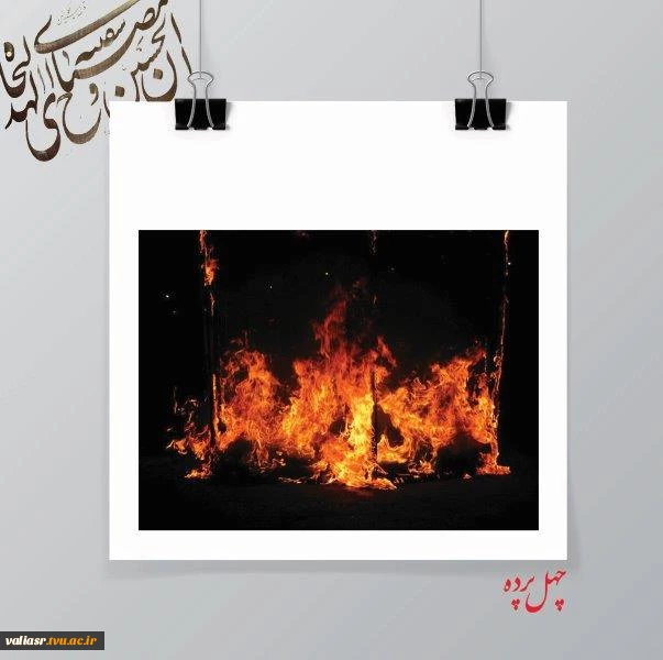 مریم میر رحمتی2