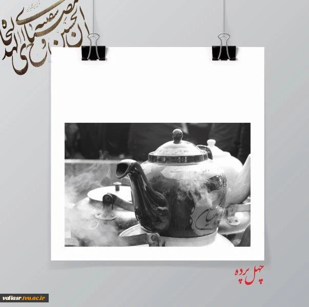 نگار الماسی3