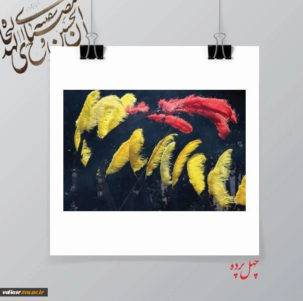 مهسا عظیمی3