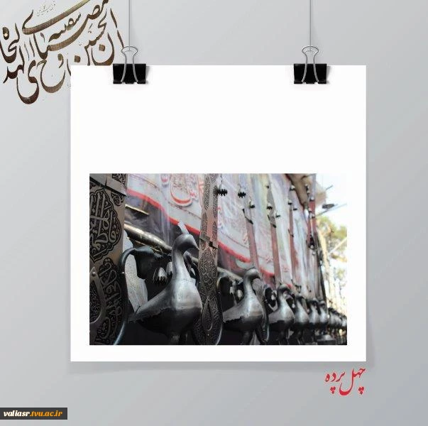 مهسا عظیمی4