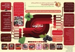 افتخارآفرینی دانشجویان دانشکده فنی و حرفه ای دختران تهران ولی عصر (عج)  در جشنواره حرکت 2