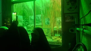 حضور دانشجویان فعال فرهنگی دانشکده در اردوی زیارتی و سیاحتی نهاد رهبری 4