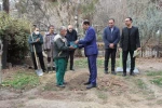 برگزاری آئین درختکاری در دانشکده ملی مهارت تهران ولی عصر(عج) 5