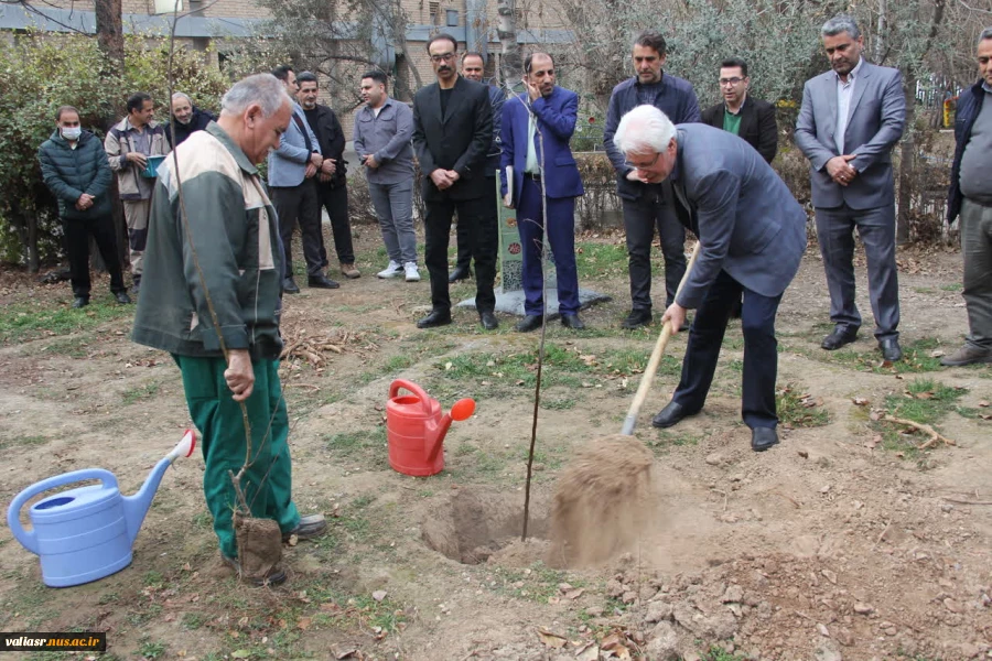 برگزاری آئین درختکاری در دانشکده ملی مهارت تهران ولی عصر(عج) 7