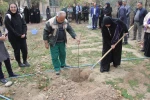 برگزاری آئین درختکاری در دانشکده ملی مهارت تهران ولی عصر(عج) 8
