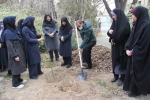 برگزاری آئین درختکاری در دانشکده ملی مهارت تهران ولی عصر(عج) 10