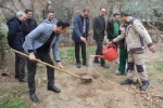 برگزاری آئین درختکاری در دانشکده ملی مهارت تهران ولی عصر(عج) 12