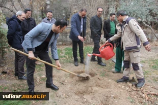 برگزاری آئین درختکاری در دانشکده ملی مهارت تهران ولی عصر(عج) 12