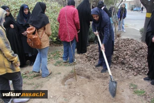 برگزاری آئین درختکاری در دانشکده ملی مهارت تهران ولی عصر(عج) 14