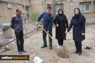 برگزاری آئین درختکاری در دانشکده ملی مهارت تهران ولی عصر(عج) 15
