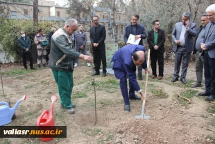 برگزاری آئین درختکاری در دانشکده ملی مهارت تهران ولی عصر(عج) 2