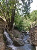 حضور دانشجویان رشته گرافیک دانشکده ولی عصر(عج) در منطقه درکه جهت طراحی از طبیعت 3