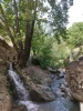 حضور دانشجویان رشته گرافیک دانشکده ولی عصر(عج) در منطقه درکه جهت طراحی از طبیعت 3