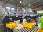 بازدید دانشجویان رشته صنایع غذایی دانشکده ولی عصر(عج) از کارخانجات مهر تهران 3