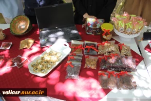 برگزاری نمایشگاه دستاوردهای دانشجویی و جاذبه های فرهنگی در دانشکده ولی عصر(عج) 6