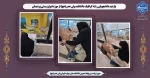 بازدید دانشجویان رشته گرافیک دانشکده ولی عصر(عج) از موزه تنوع زیستی پردیسان 2