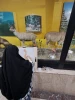 بازدید دانشجویان رشته گرافیک دانشکده ولی عصر(عج) از موزه تنوع زیستی پردیسان 4