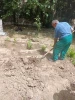 احیای طرح مدد (مزرعه دانشجویی دانشکده ) توسط دانشجویان انجمن علمی رشته صنایع غذایی و صنایع شیمیایی دانشکده ولی عصر(عج) 2